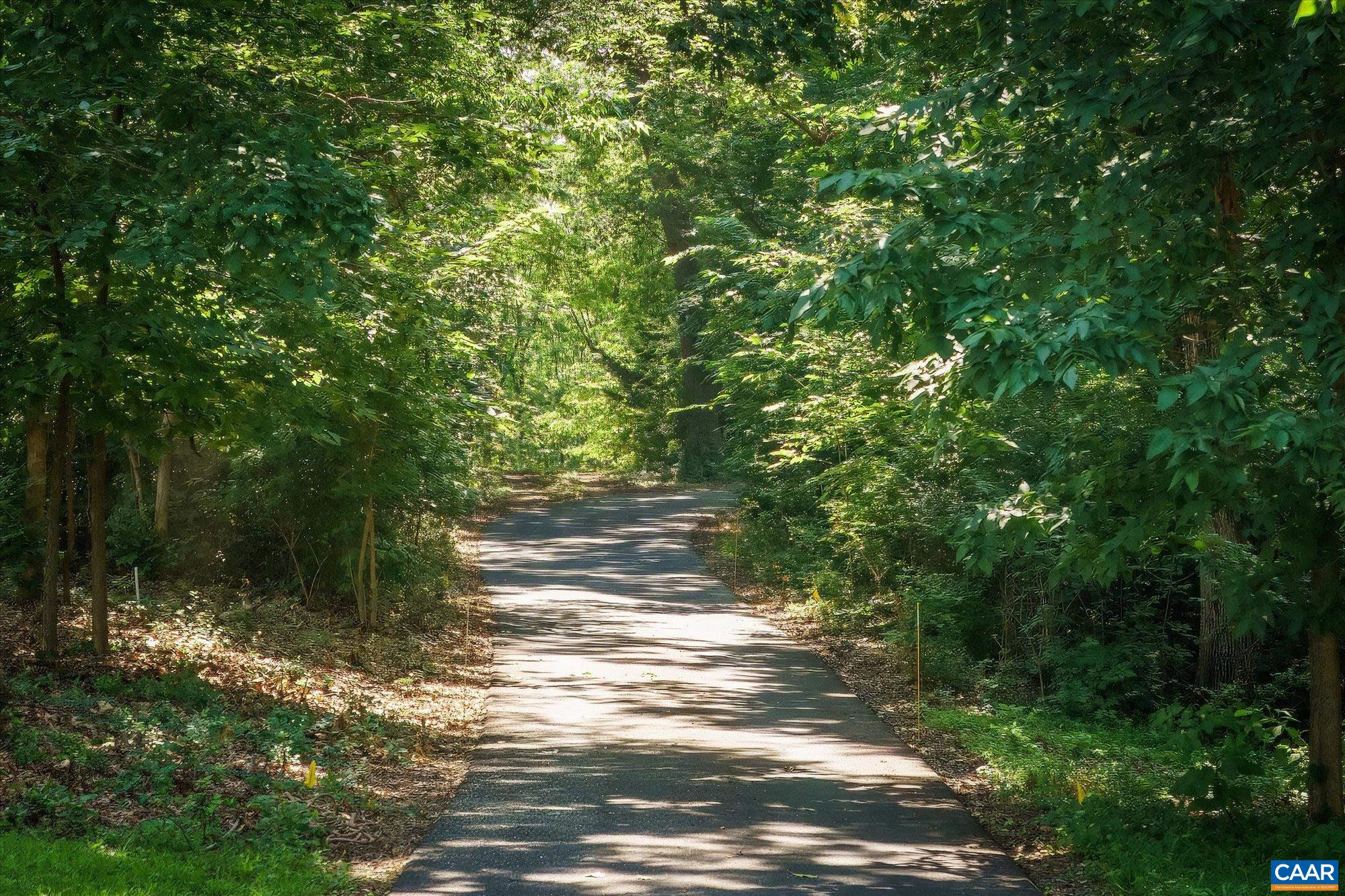 159 Old White Bridge Road Waynesboro, VA 22980 - Photo 54 of 68 Gallery Image 54