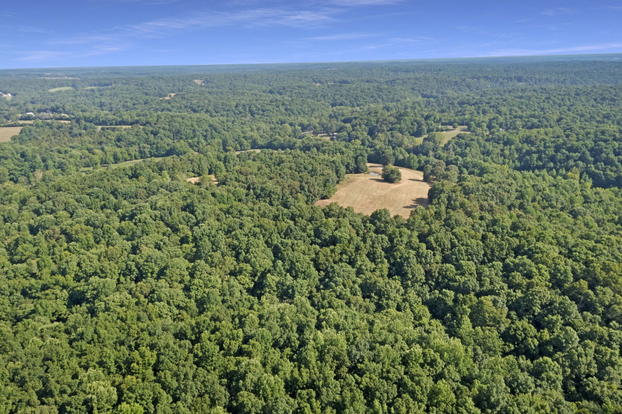 311 Coaling Road Charlotte, TN 37036 - Photo 2 of 14 Gallery Image 2