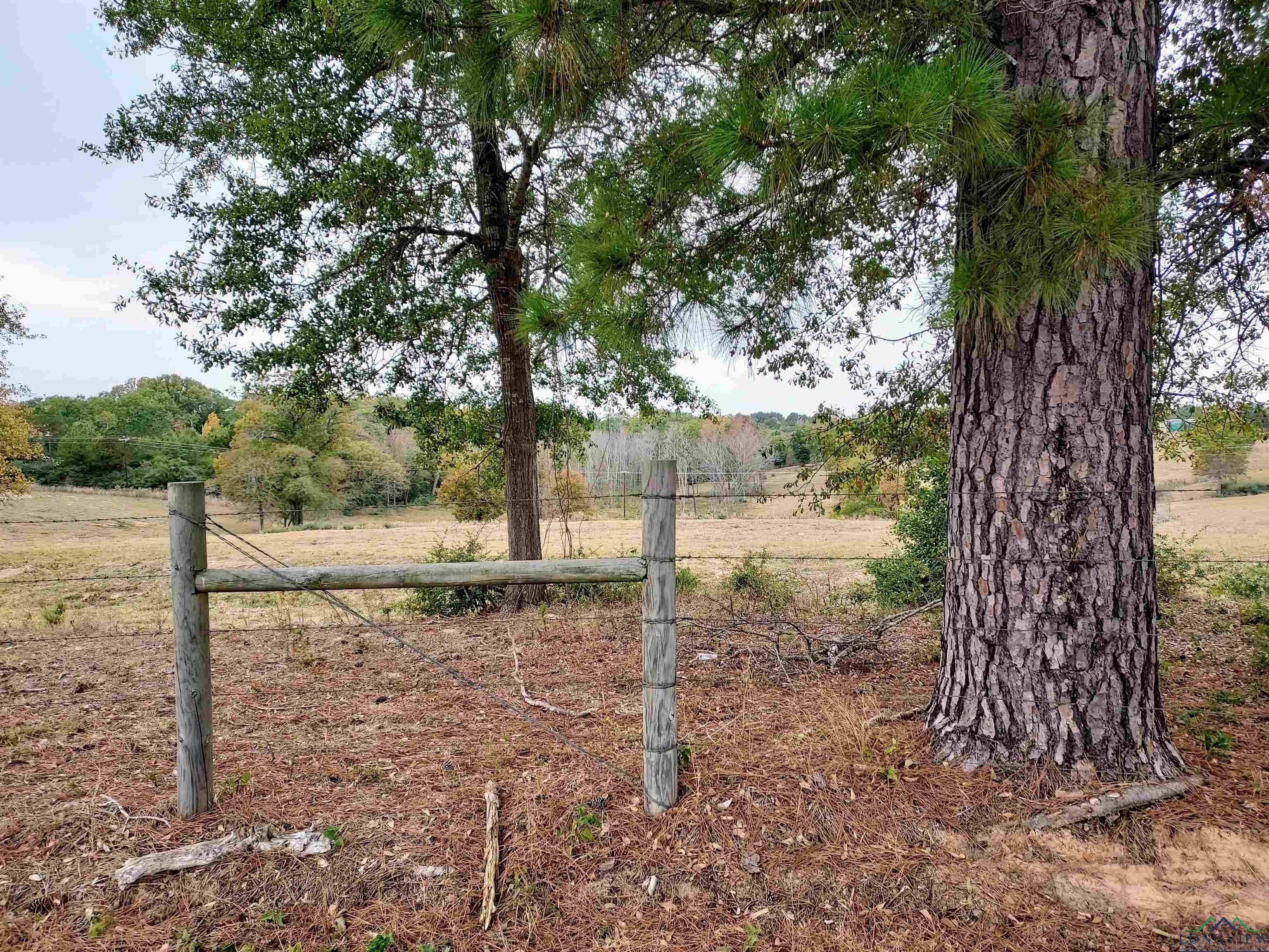 Tbd Almond Road Big Sandy, TX 75755 - Photo 19 of 36 Gallery Image 19
