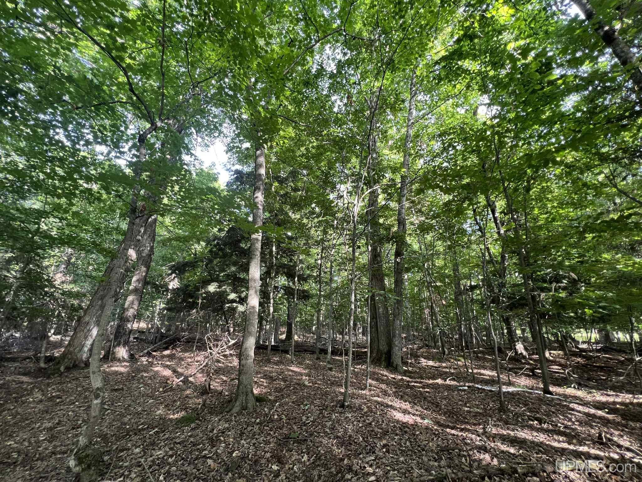 T B D Ii Road Garden, MI 49835 - Photo 33 of 41