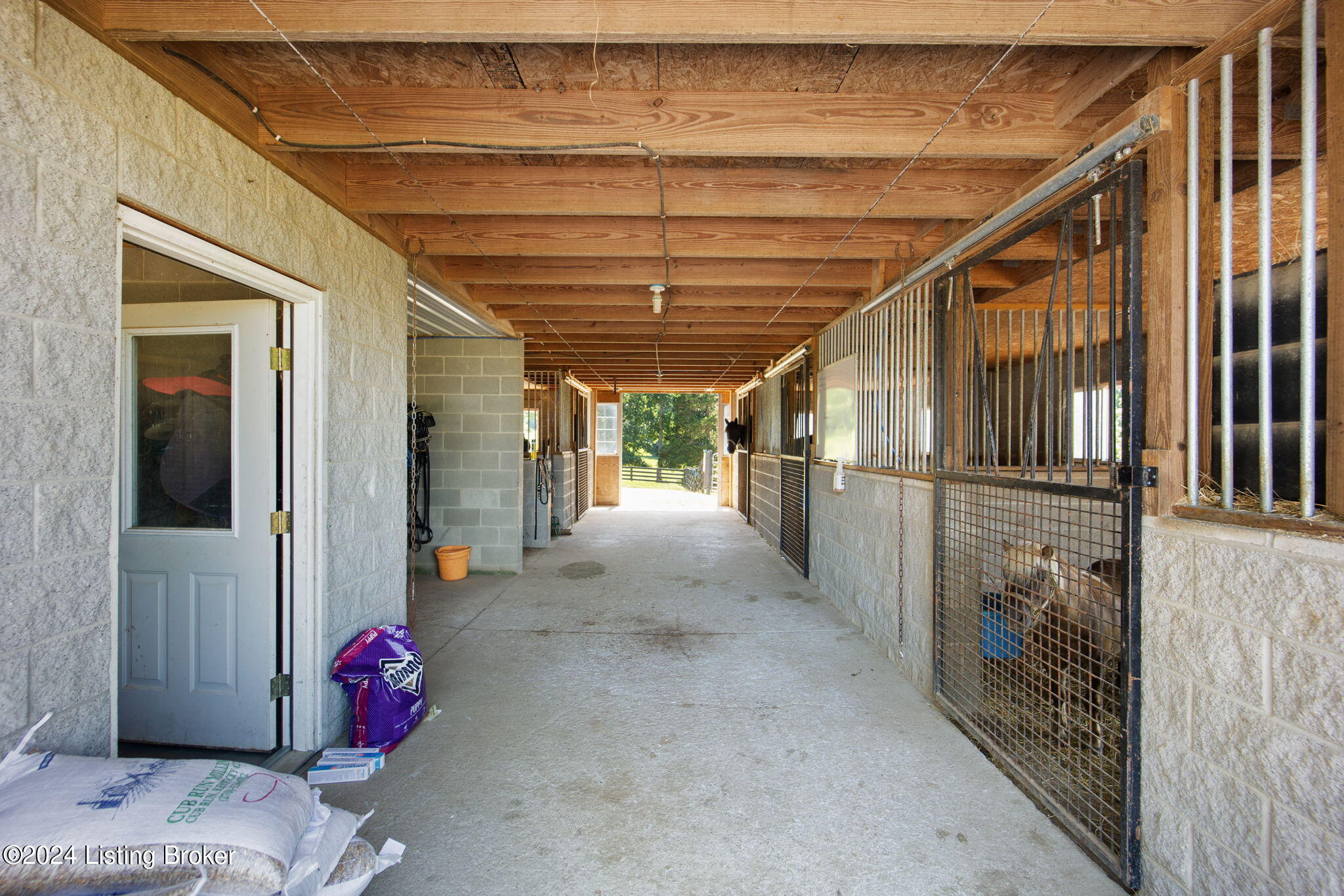251 Roseburg Road Cub Run, KY 42729 - Photo 81 of 127 87-web-or-mls-542A3172