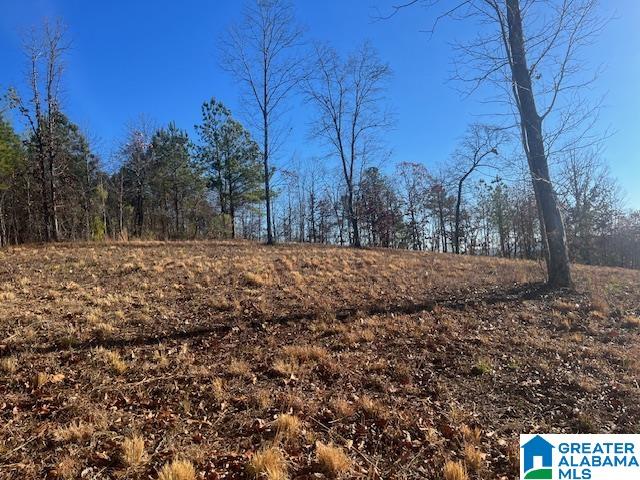 Tablee Lane, Unit 17 65 Ashland, AL 36251 - Photo 4 of 7