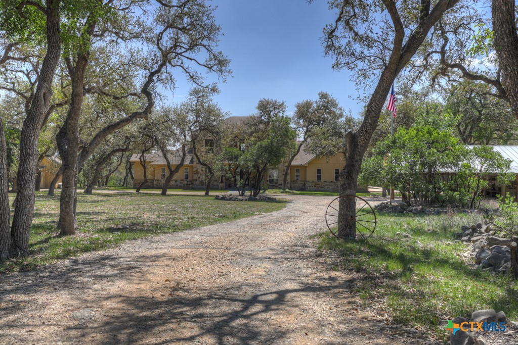 1262 Elm Creek Road New Braunfels, TX 78132 - Photo 11 of 48