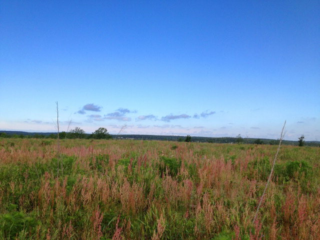 Tract B Township Road Aiken, SC 29803 - Photo 13 of 19