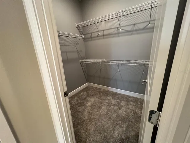 a bathroom with a shower and a sink