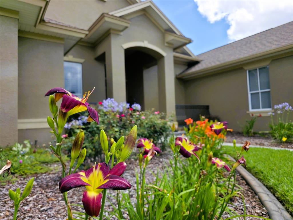 5629 Hillside Landings Road Lakeland, FL 33810 - Photo 3 of 40