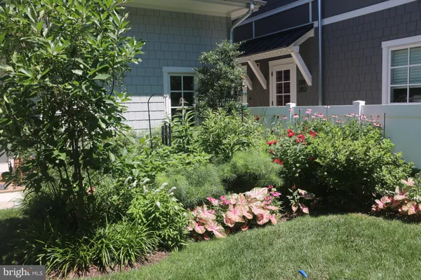a view of a back yard of the house