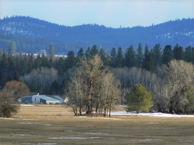 4617 F Bellstar Road Clayton, WA 99110 - Photo 1 of 9