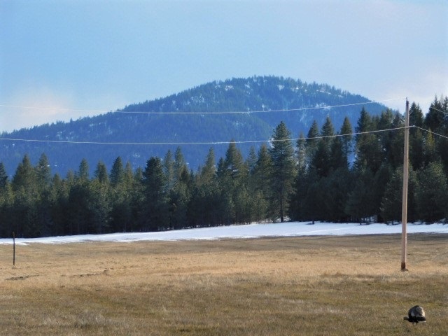 4617 F Bellstar Road Clayton, WA 99110 - Photo 2 of 9