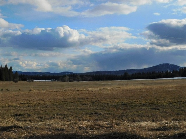 4617 F Bellstar Road Clayton, WA 99110 - Photo 3 of 9