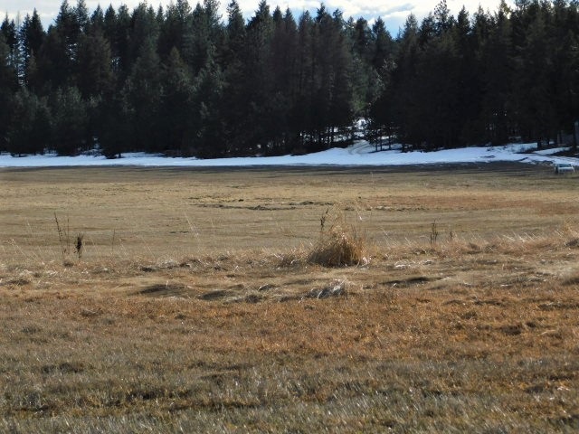 4617 F Bellstar Road Clayton, WA 99110 - Photo 6 of 9