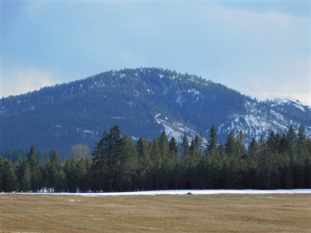 4617 F Bellstar Road Clayton, WA 99110 - Photo 7 of 9