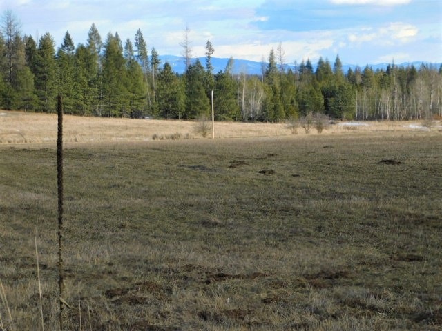 4617 F Bellstar Road Clayton, WA 99110 - Photo 8 of 9