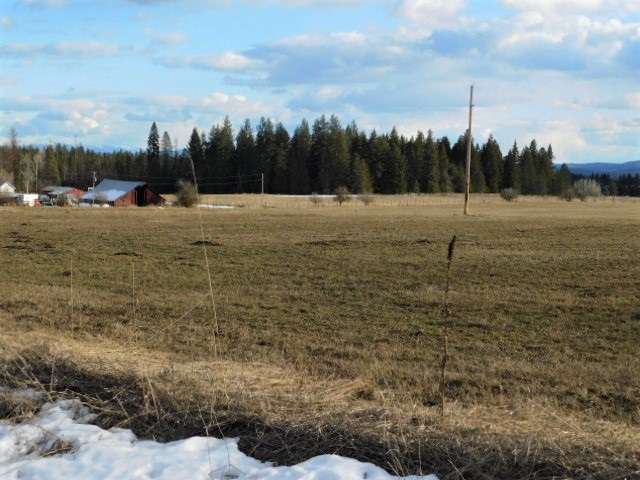 4617 F Bellstar Road Clayton, WA 99110 - Photo 9 of 9