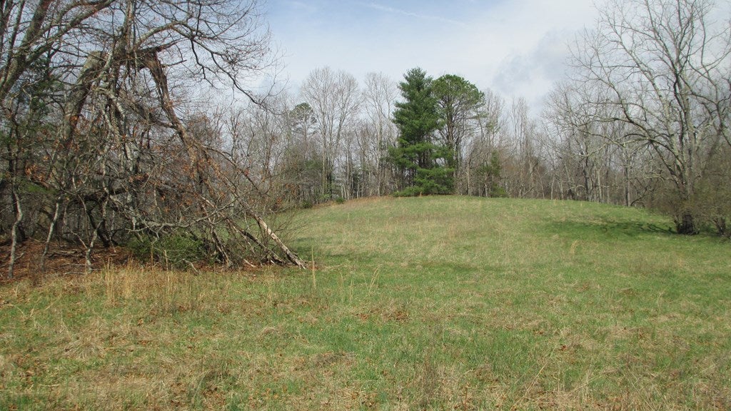 Tbd Forest Ridge Road Independence, VA 24348 - Photo 11 of 12 Gallery Image 11