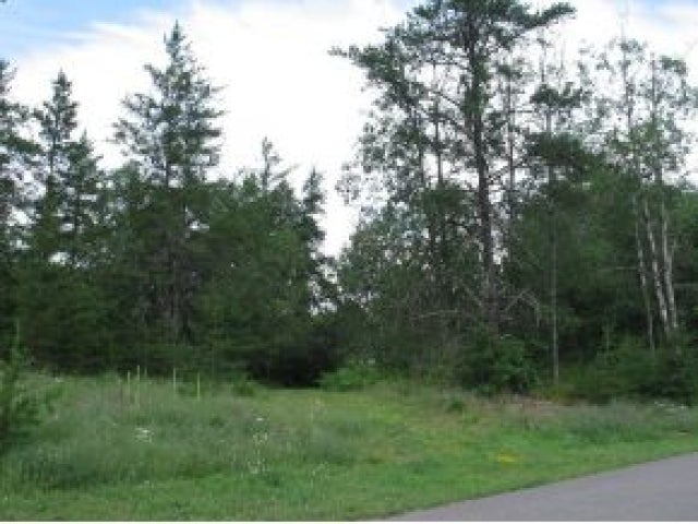 Lot 36 Pine View Drive Rhinelander, WI 54501 - Photo 3 of 7 Gallery Image 3