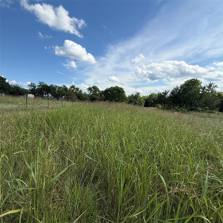 0 Harrell Road Howe, TX 75459 - Photo 2 of 31 Beautiful view for a homesite.
