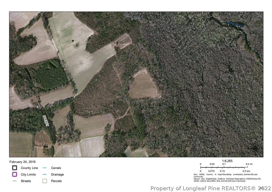 0 Turnpike Road Lumberton, NC 28358 - Photo 1 of 1 Gallery Image 1