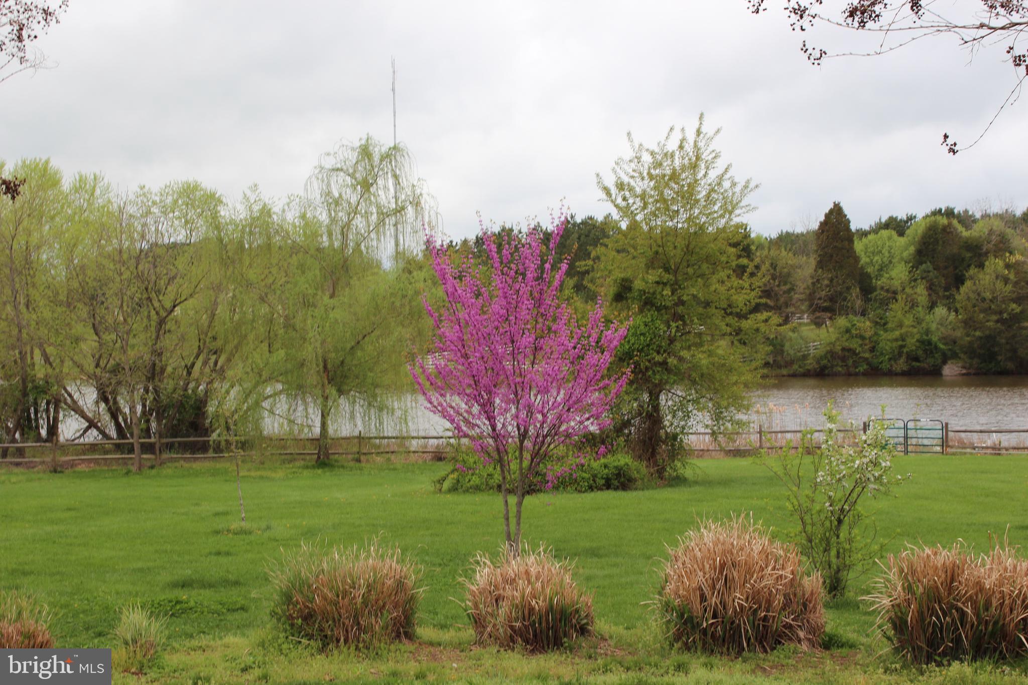 36 Winning Colors Road Stafford, VA 22556 - Photo 21 of 25 Gallery Image 21