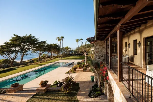 a kitchen with white cabinets a window and a potted plant