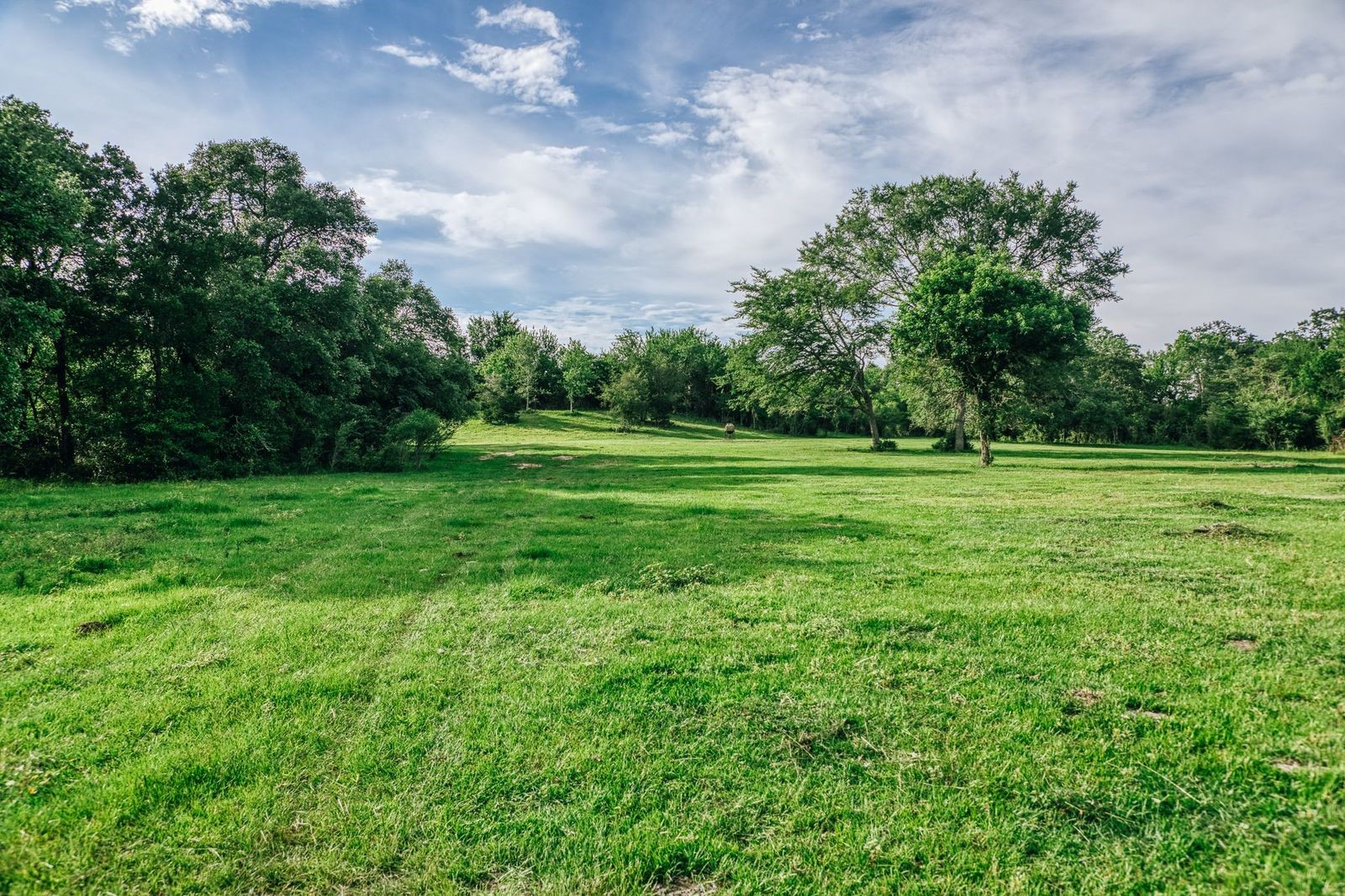 19576 Pickens Road Washington, TX 77880 - Photo 33 of 44