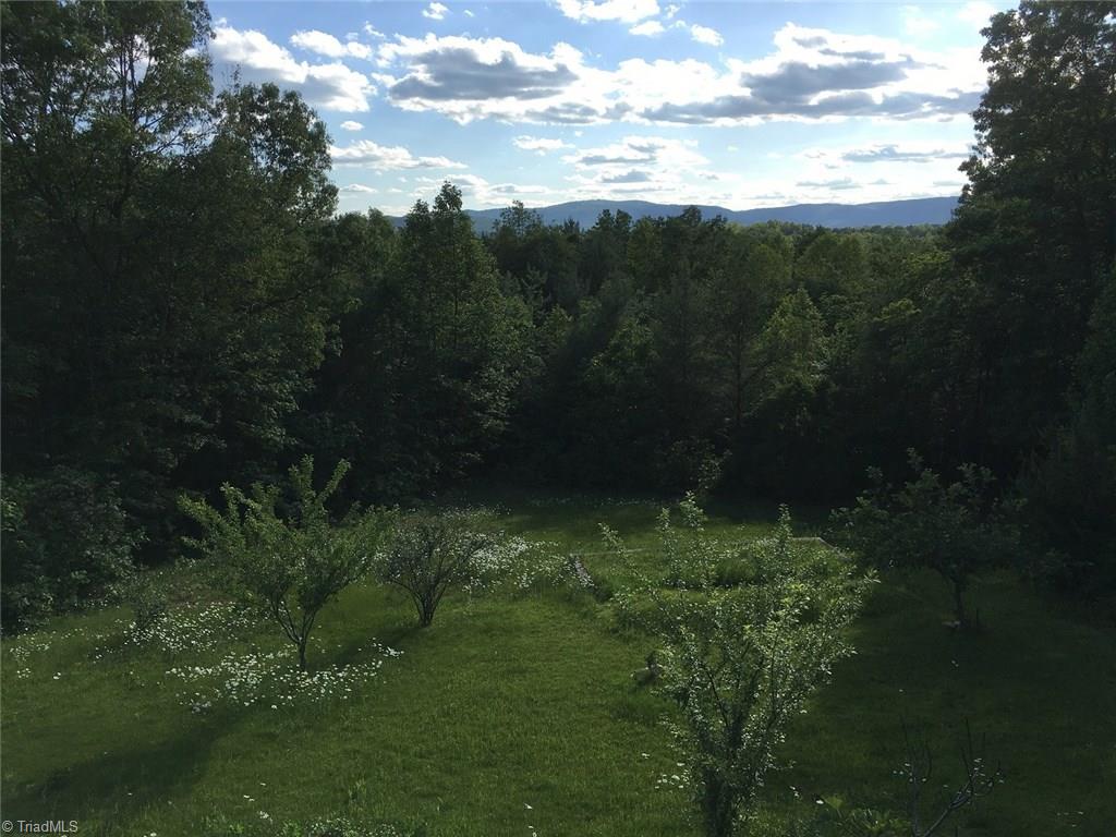 203 Raven Ridge Trail Dobson, NC 27017 - Photo 21 of 25 Gallery Image 21