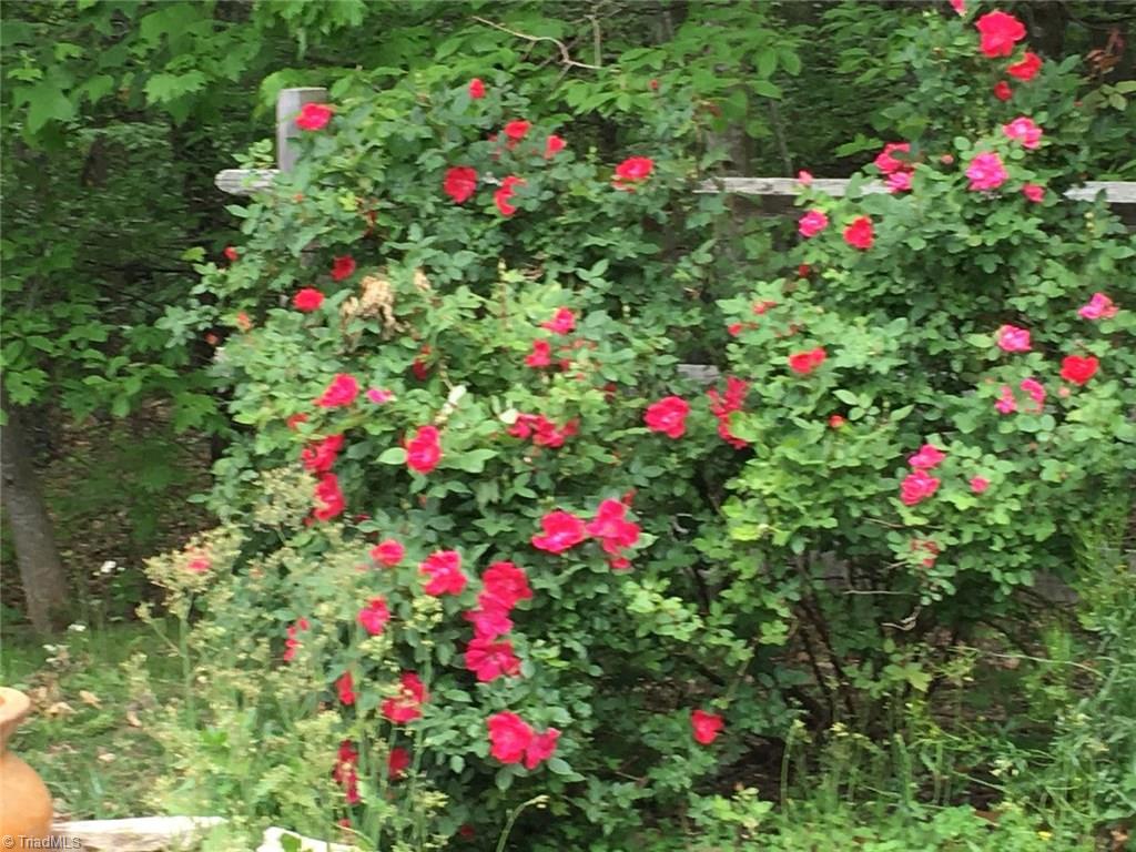 203 Raven Ridge Trail Dobson, NC 27017 - Photo 22 of 25 Gallery Image 22