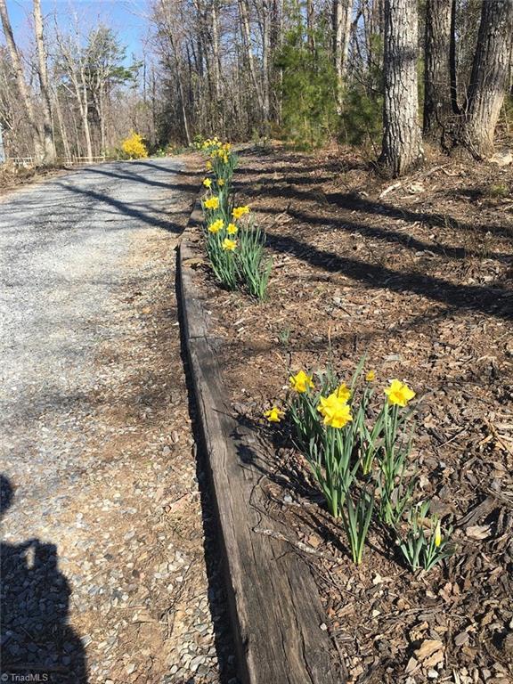 203 Raven Ridge Trail Dobson, NC 27017 - Photo 23 of 25 Gallery Image 23
