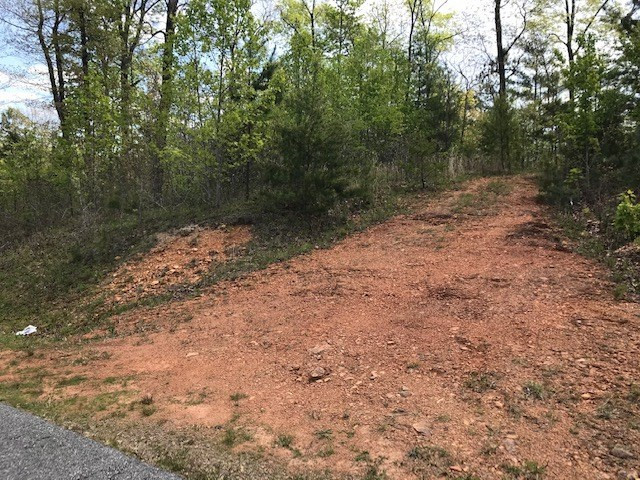 Lot 29 Brasstown View Road Murphy, NC 28906 - Photo 9 of 11