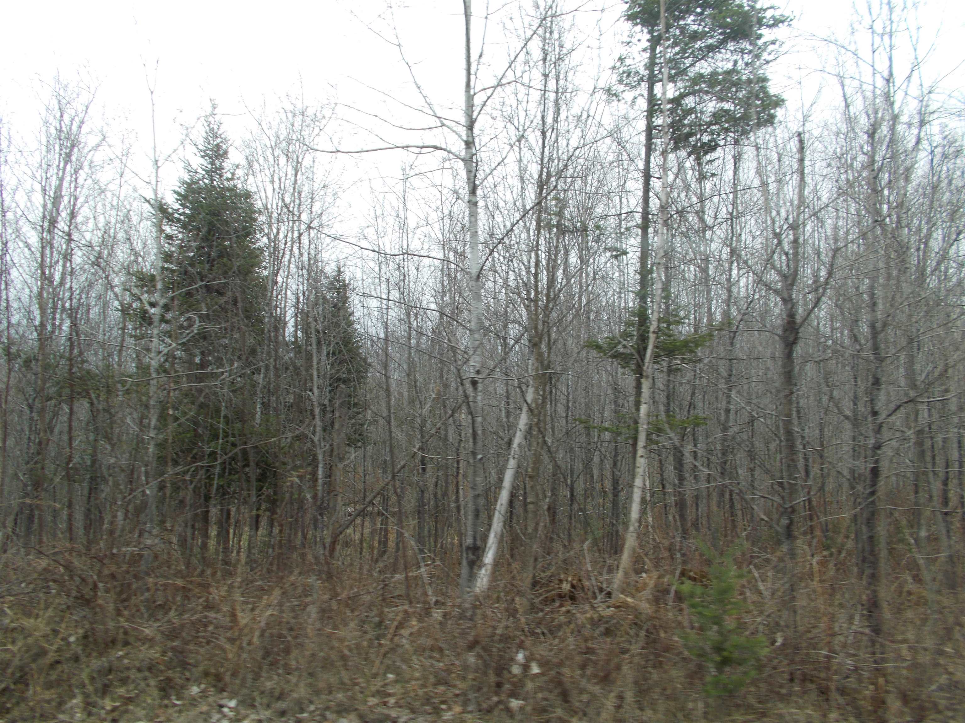0 Deckerville Road Lupton, MI 48635 - Photo 10 of 17