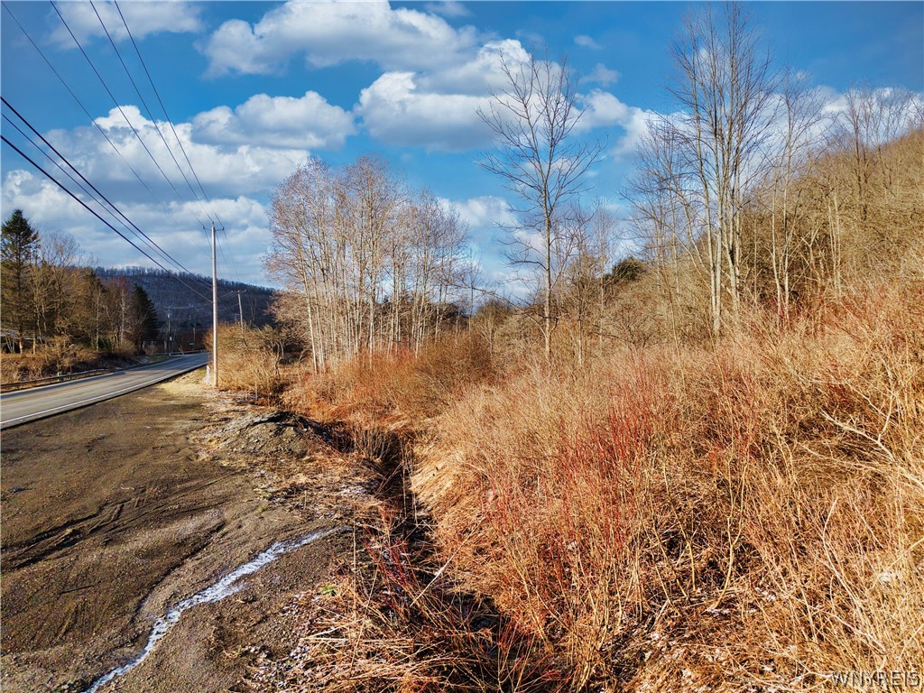 6020 Nys Route Ellicottville, NY 14731 - Photo 4 of 5