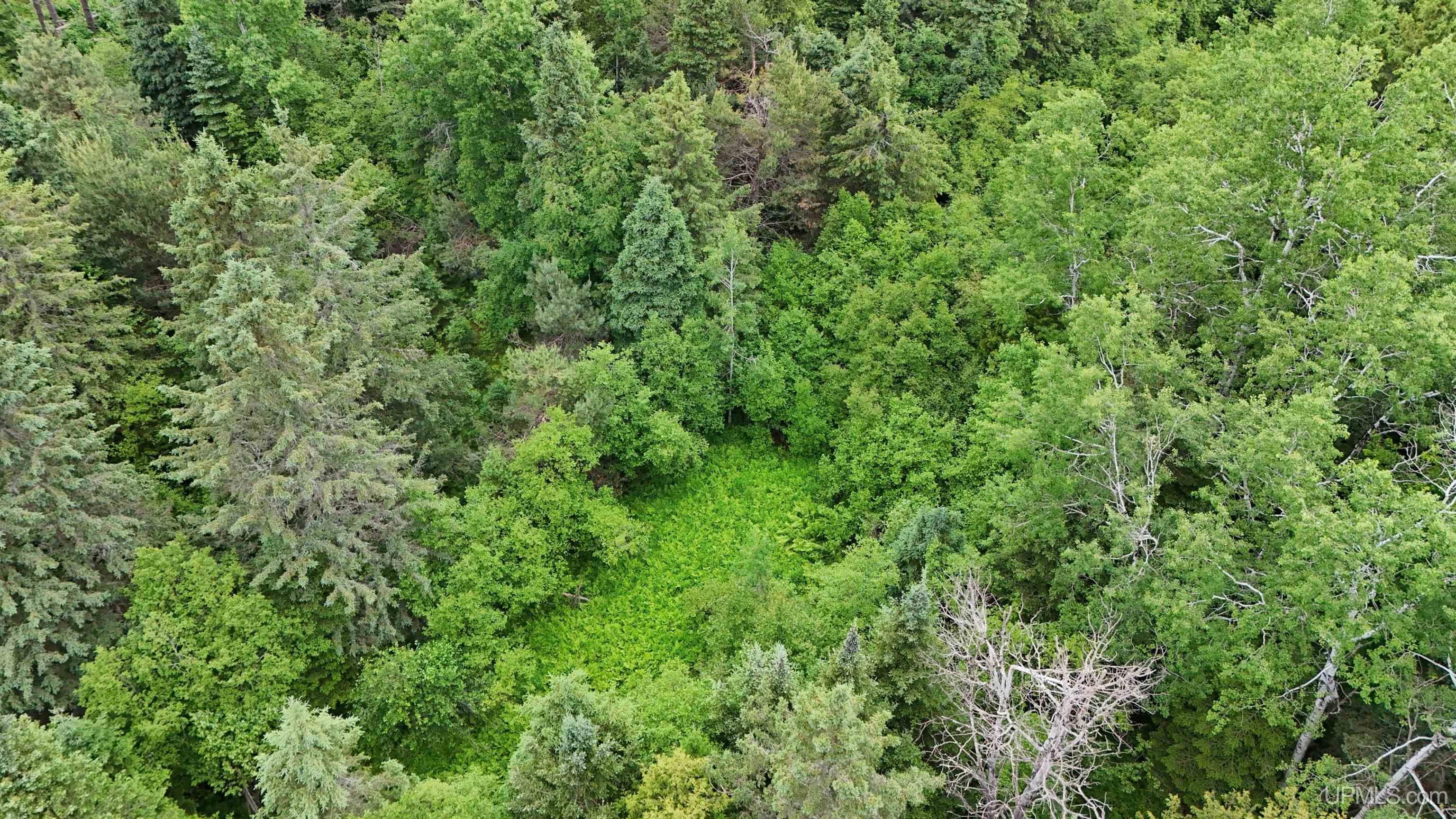 5.23 Messner Road Baraga, MI 49908 - Photo 11 of 18