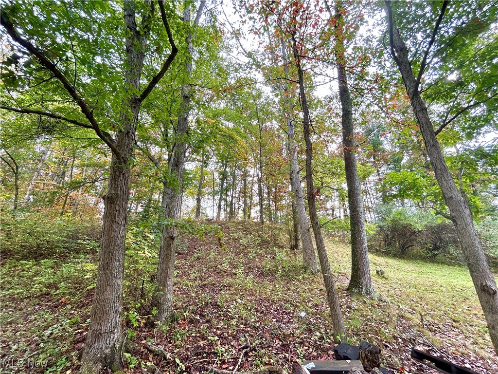 14040 T-Ridge Road Caldwell, OH 43724 - Photo 21 of 45 Gallery Image 21