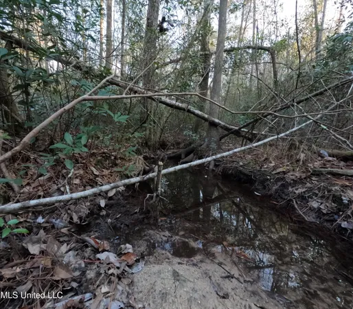 $179,000 | South County Line Road, Columbia, MS 39429