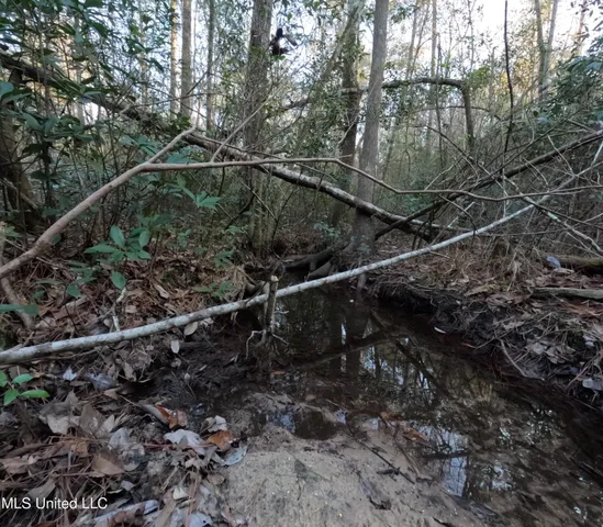 $179,000 | South County Line Road, Columbia, MS 39429