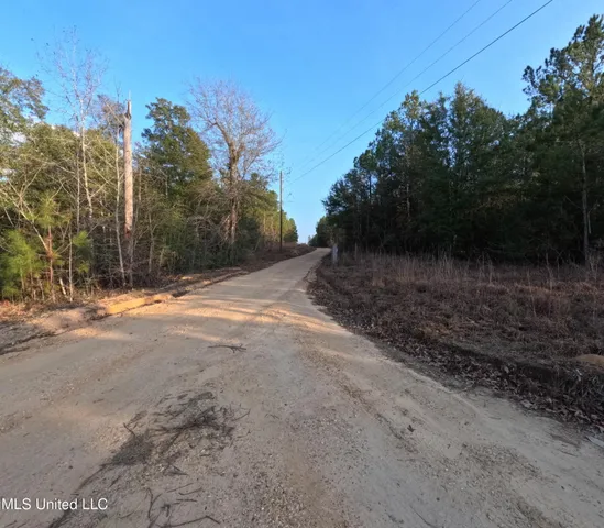 $179,000 | South County Line Road, Columbia, MS 39429