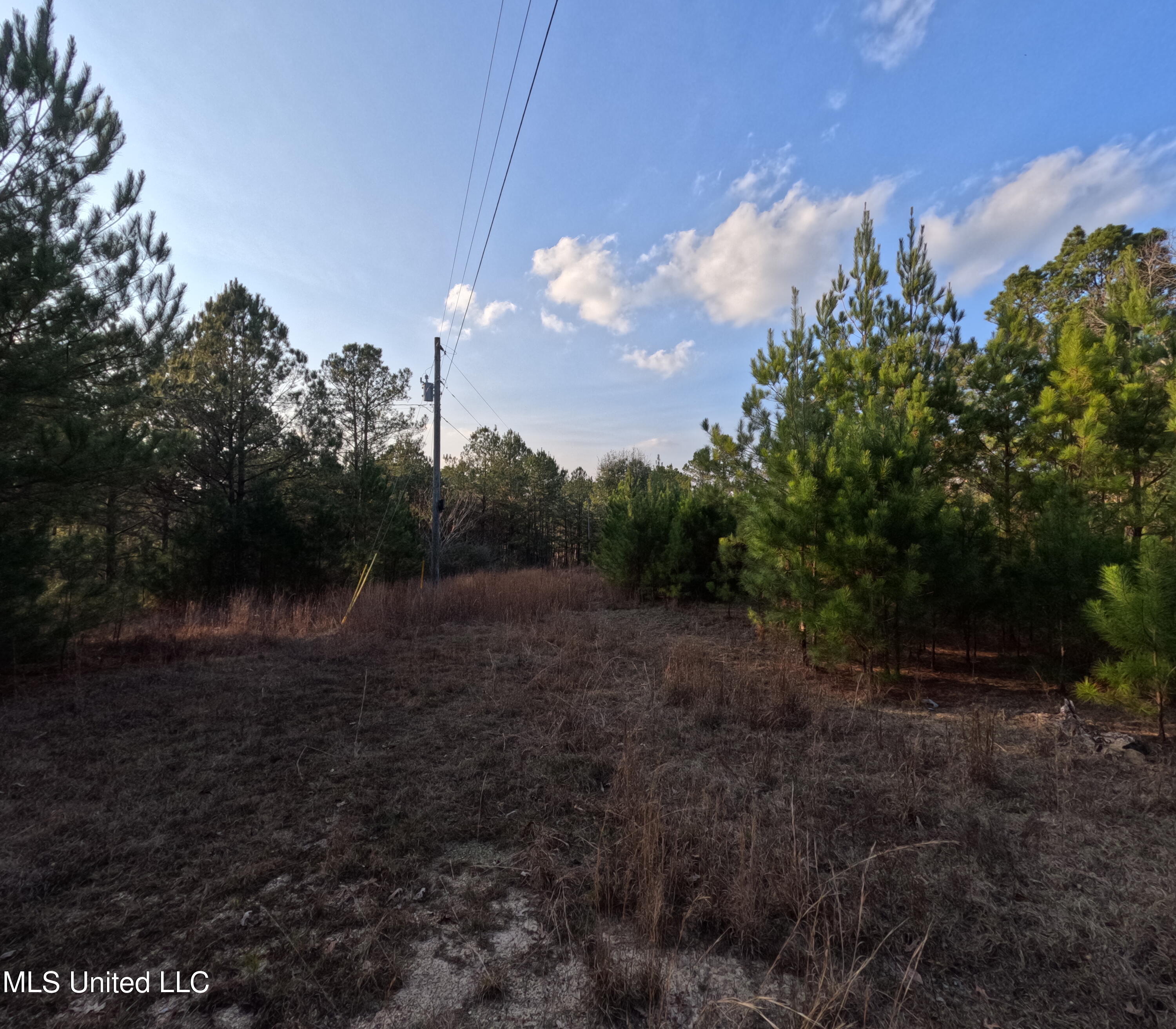 South County Line Road Columbia, MS 39429 - Photo 13 of 44 GOPR0735
