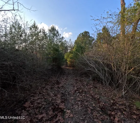 $179,000 | South County Line Road, Columbia, MS 39429