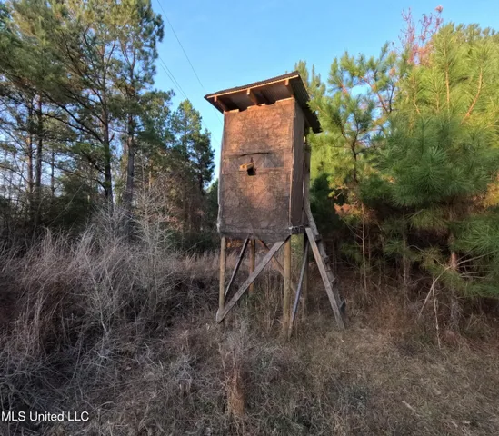 $179,000 | South County Line Road, Columbia, MS 39429