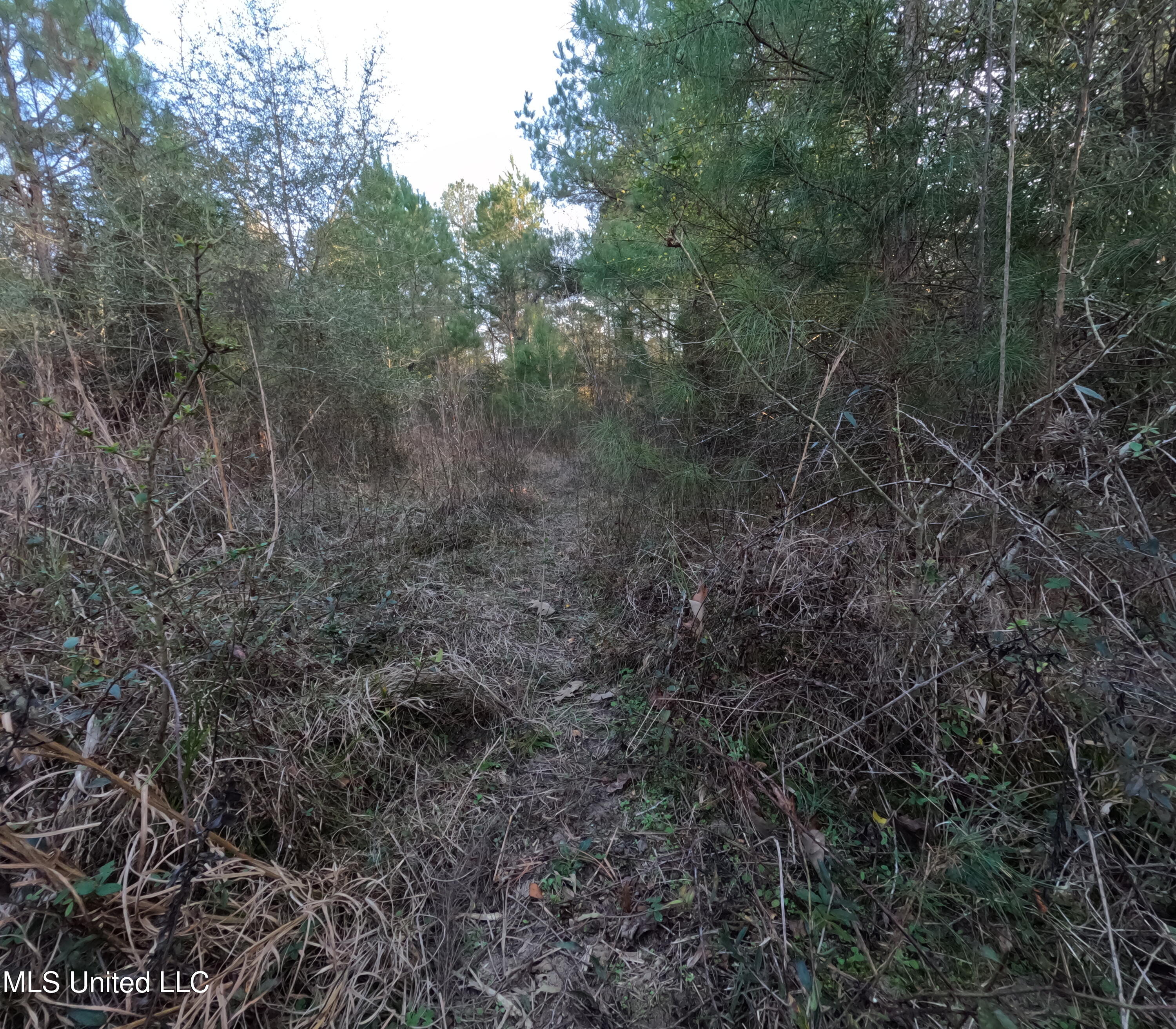 South County Line Road Columbia, MS 39429 - Photo 19 of 44 GOPR0743