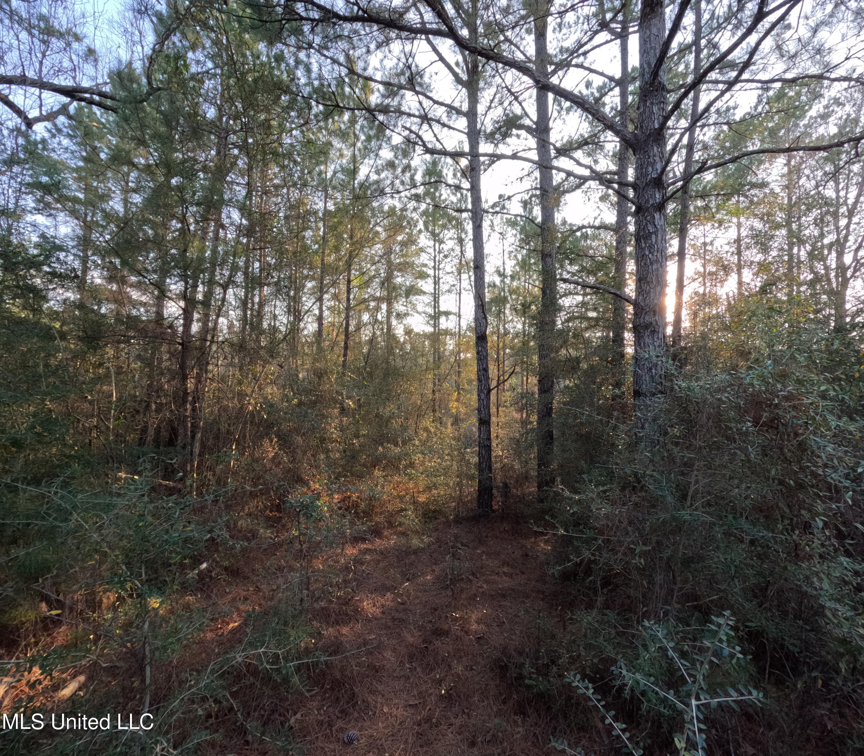 South County Line Road Columbia, MS 39429 - Photo 20 of 44 GOPR0744