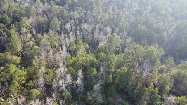 $179,000 | South County Line Road, Columbia, MS 39429