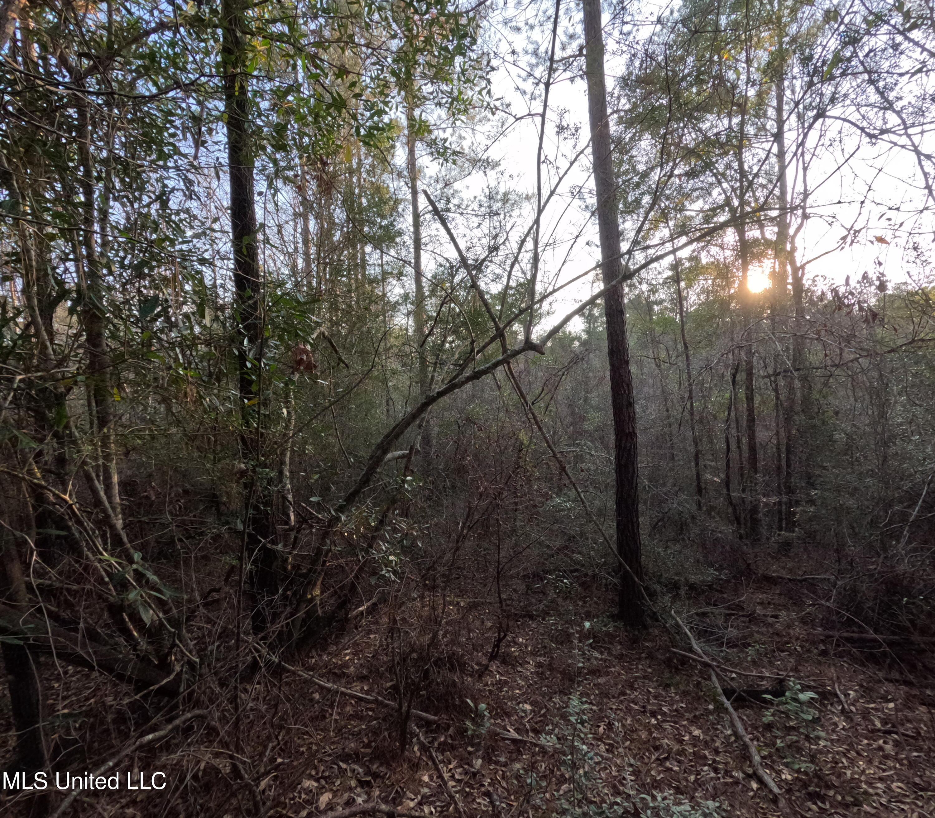 South County Line Road Columbia, MS 39429 - Photo 21 of 44 GOPR0745