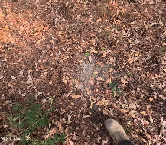 $179,000 | South County Line Road, Columbia, MS 39429