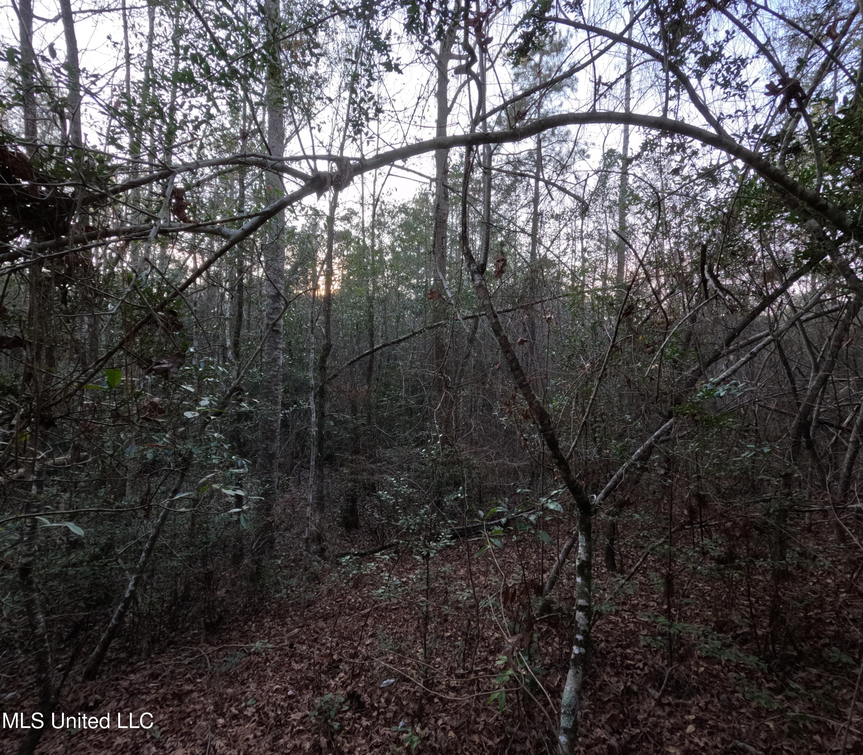 South County Line Road Columbia, MS 39429 - Photo 24 of 44 GOPR0748