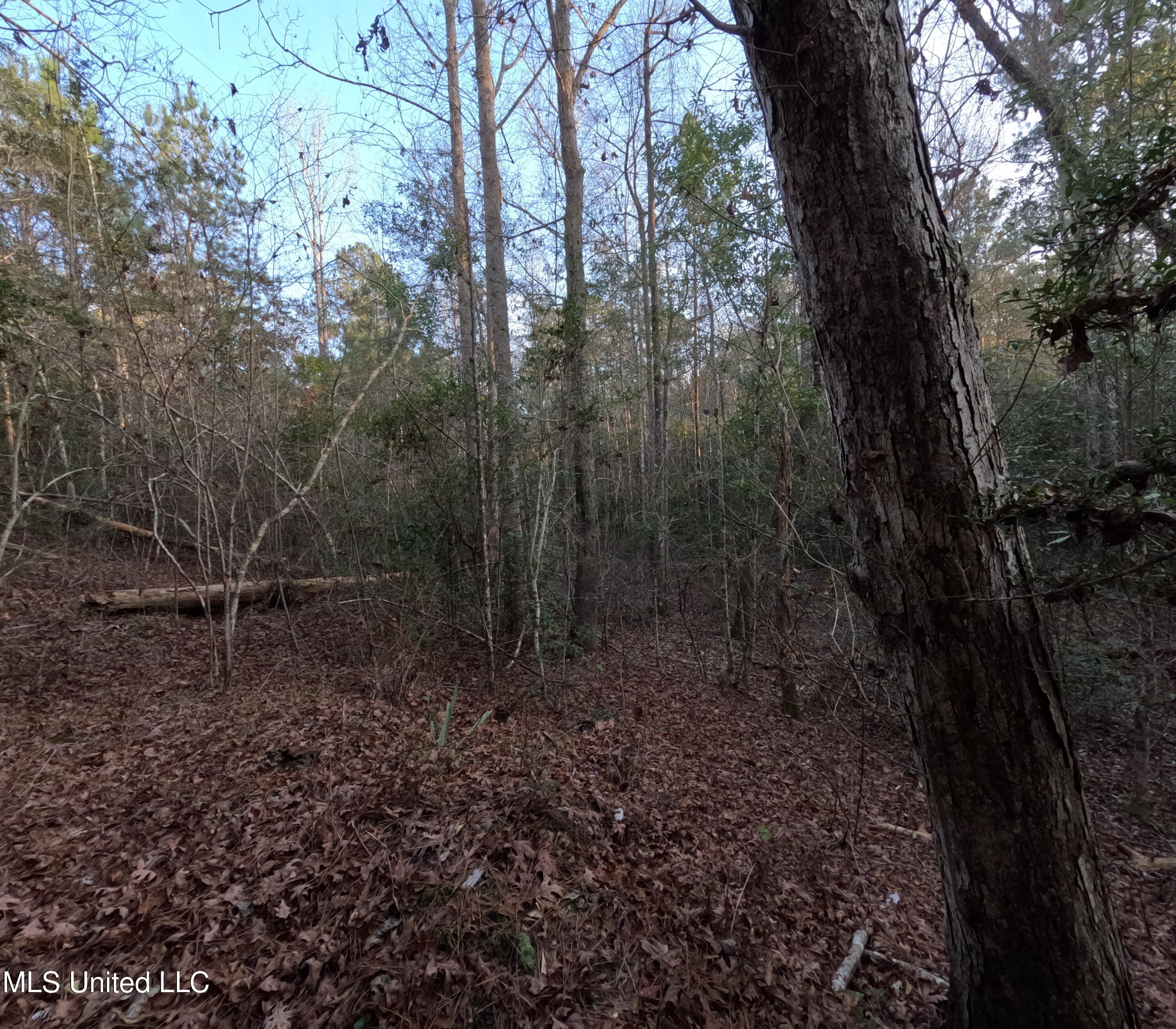 South County Line Road Columbia, MS 39429 - Photo 25 of 44 GOPR0749