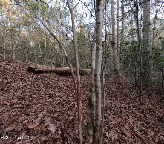 $179,000 | South County Line Road, Columbia, MS 39429