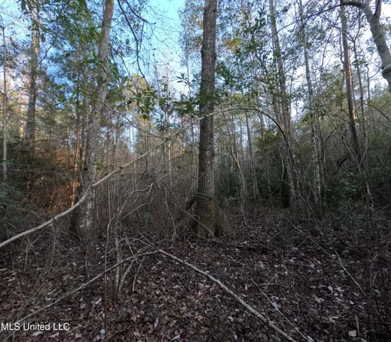 $179,000 | South County Line Road, Columbia, MS 39429
