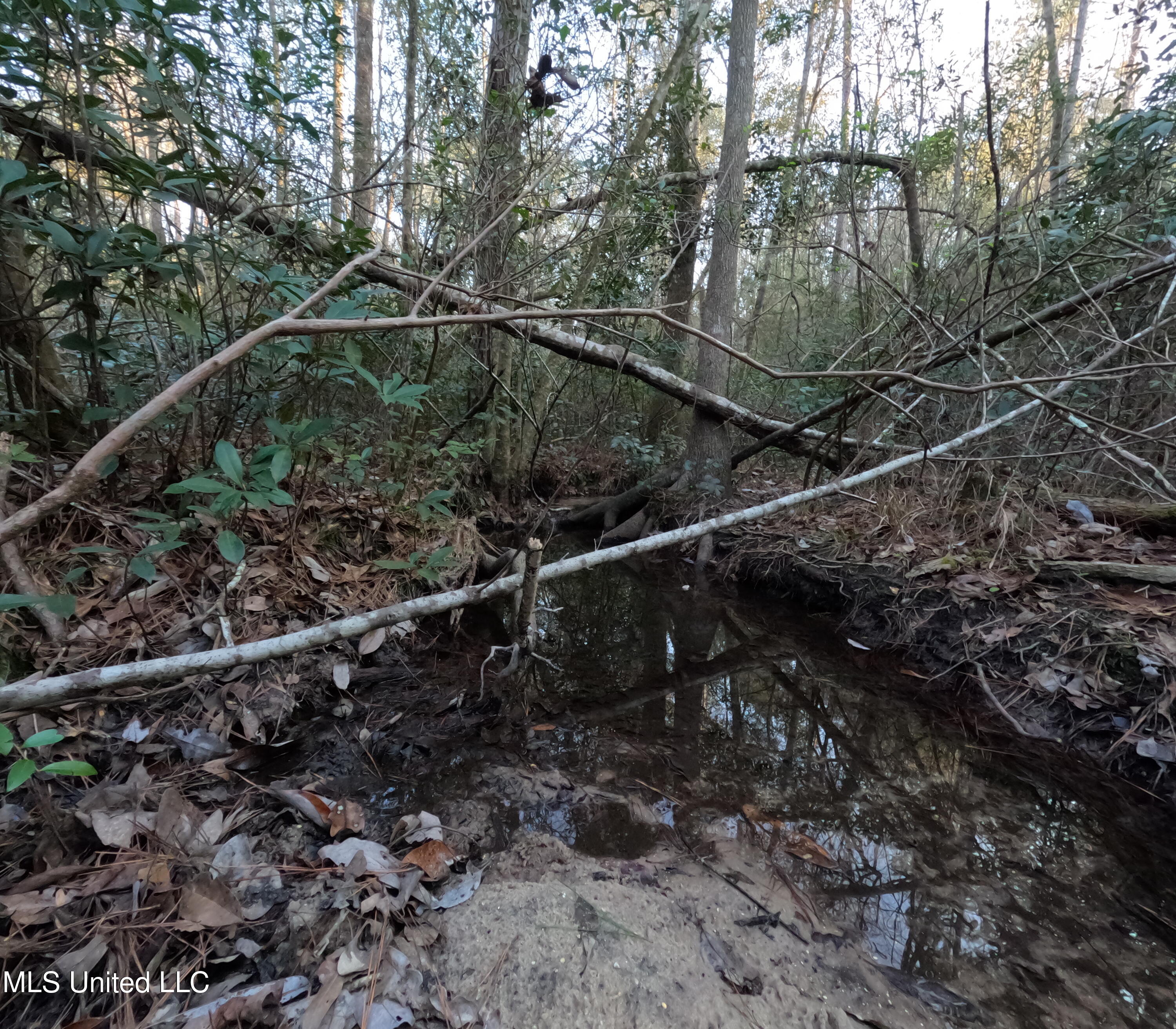 South County Line Road Columbia, MS 39429 - Photo 29 of 44 GOPR0753
