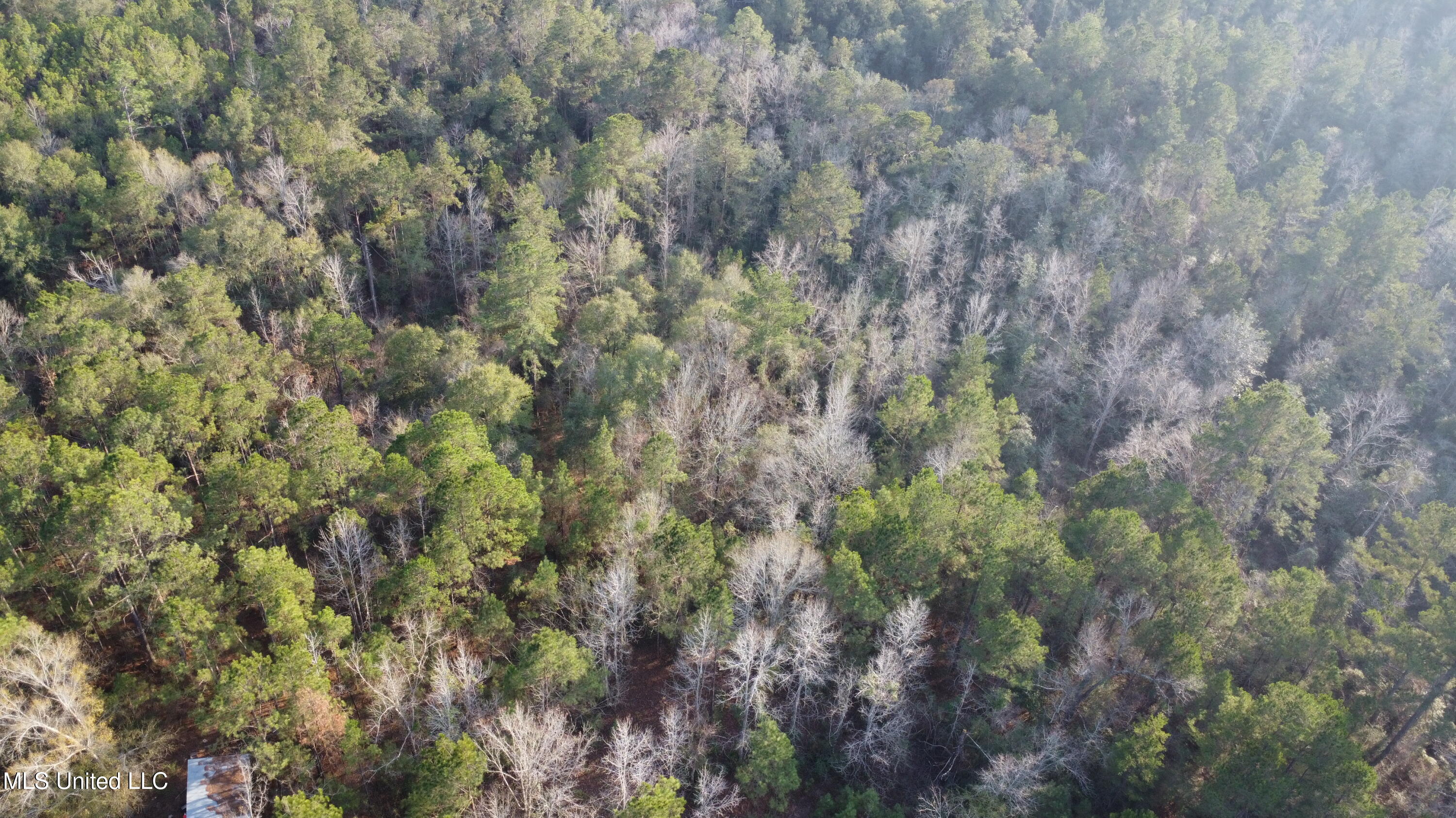 South County Line Road Columbia, MS 39429 - Photo 3 of 44 DJI_0685